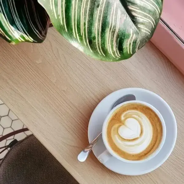 Cafeterías de Especialidad